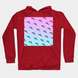 Dolphins Pattern Pink Blue Gradient VSCO Women's Vaporwave Gift Hoodie